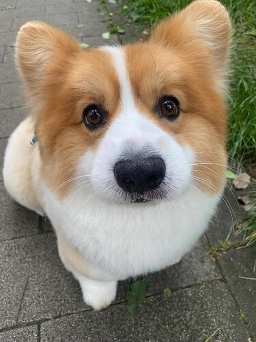 2aca7e8b6e146bbcbeabd93ee806c7f37ef2b947