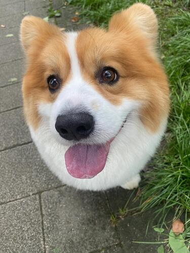 55dde494e245eb994cf9b48d0f8e87570931d09e