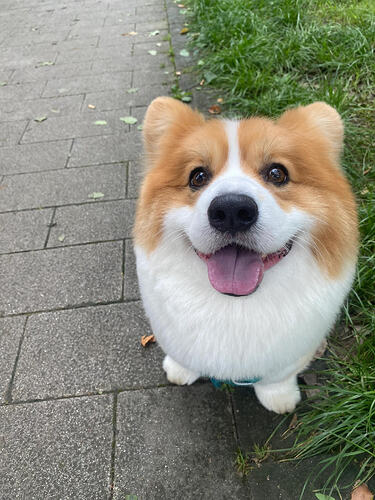 373dde8b186aaefc913cb3ef23679f8c76f27779